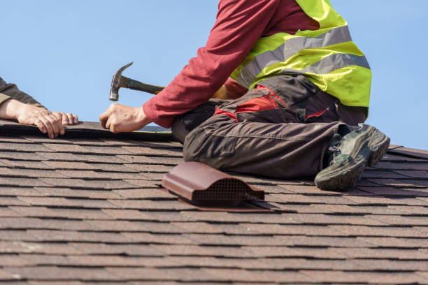 Best Roof Waterproofing Services  in Carol Stream, IL
