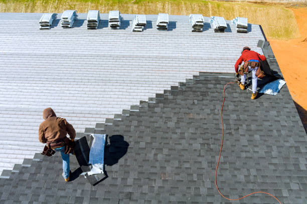 Best Roof Repair Services  in Carol Stream, IL