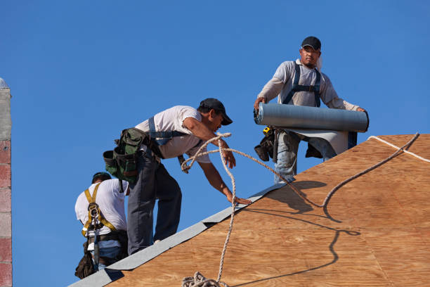 Best Roof Maintenance Services  in Carol Stream, IL