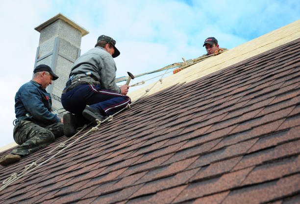 Best Local Roofing Companies  in Carol Stream, IL