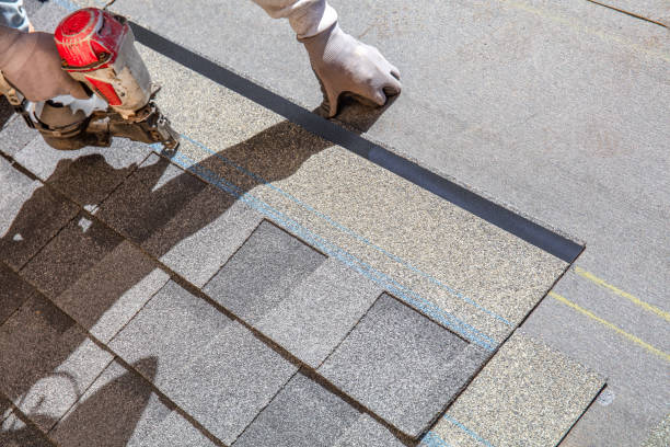 Best Roof Waterproofing Services  in Carol Stream, IL