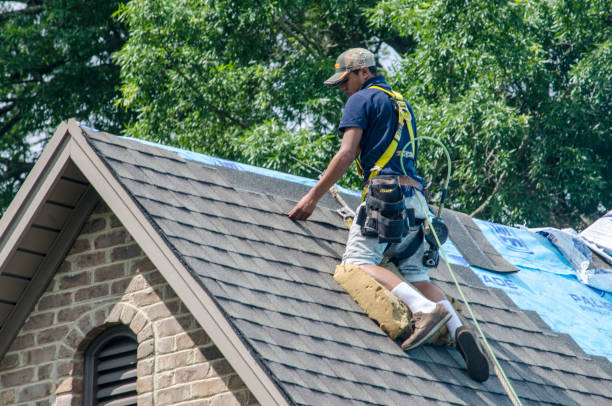 Best New Roof Installation  in Carol Stream, IL